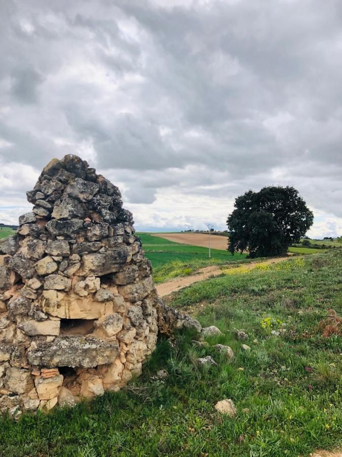Apartamentos Ribera Del Duero Las Escuelas Vadocondes Luaran gambar
