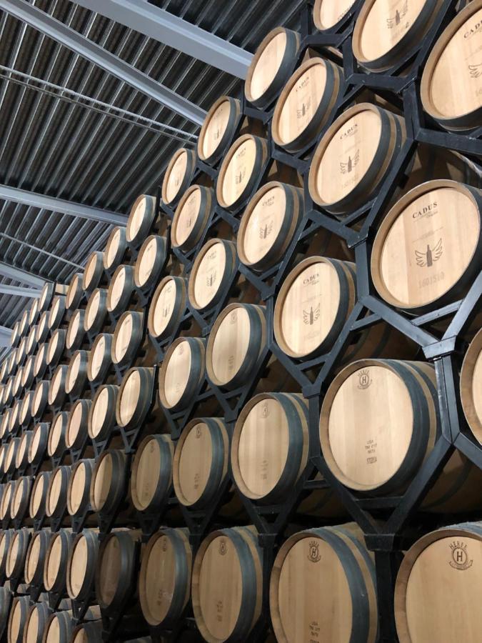 Apartamentos Ribera Del Duero Las Escuelas Vadocondes Luaran gambar